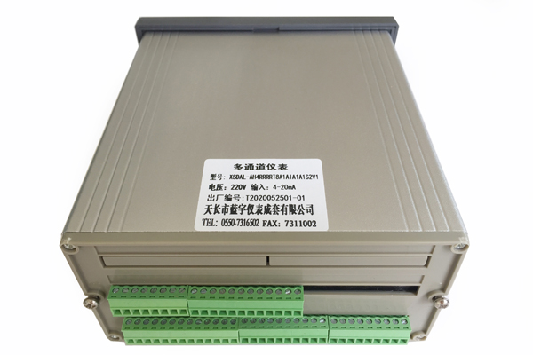 多通道仪表 XSDAL-AH4RRRRT8A1A1A1A1S2V1 14.jpg