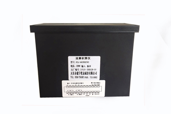 流量积算仪 XSJ-AH2KB2V0 07.jpg