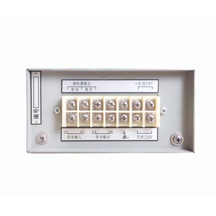 转速数字显示仪 XJP-061E 01.jpg