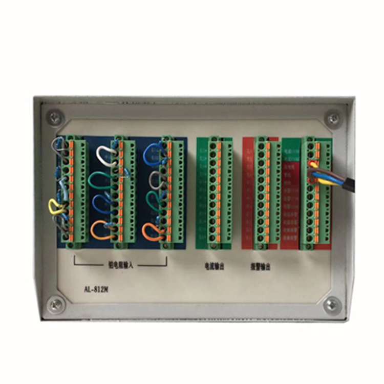 AL-812M 多路温度巡检仪 01.jpg
