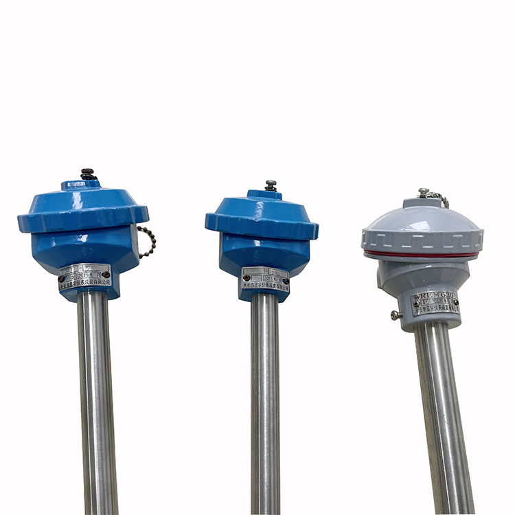 热电偶WZPM2-201-01