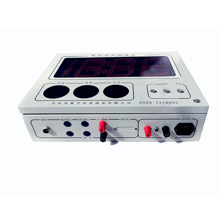 WSQ-998B 壁挂式钢水测温仪