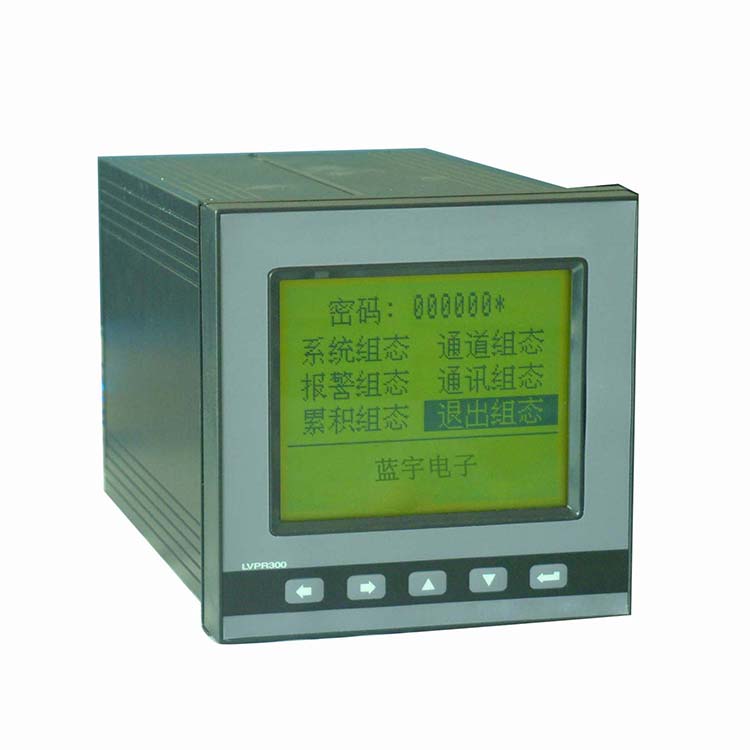 LVPR300 智能无纸记录仪 (2).JPG