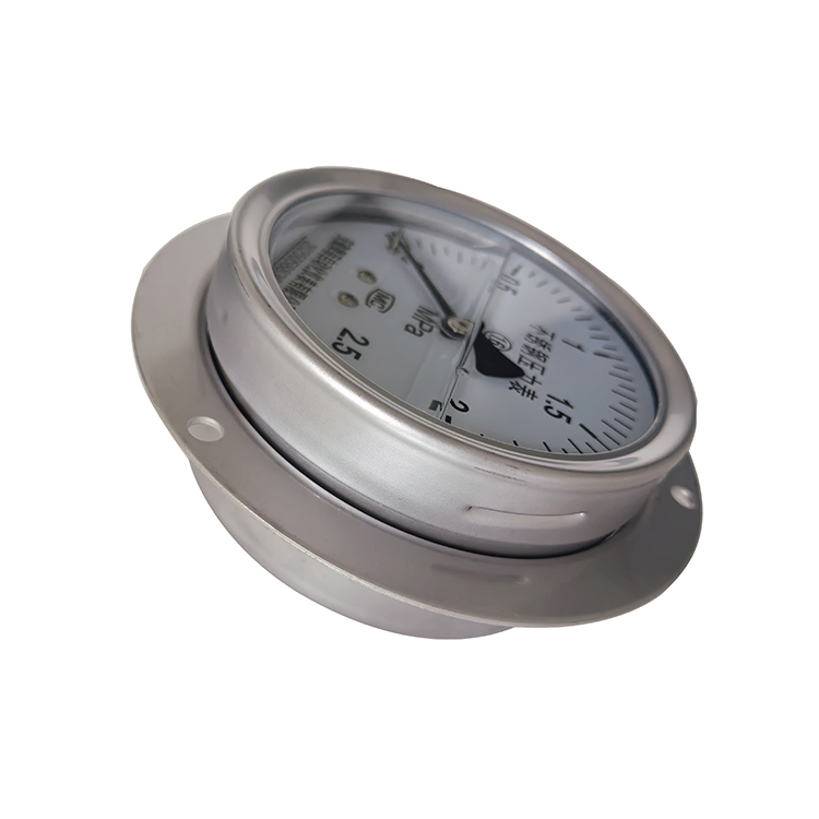 Y-60B-FZ隔膜压力表