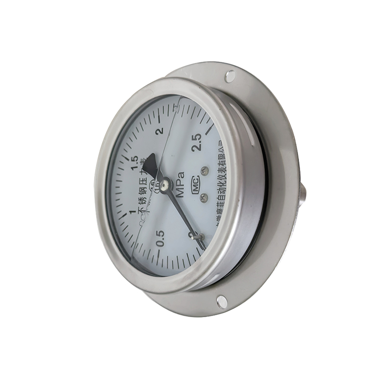 Y-63B-F卫生型隔膜压力表