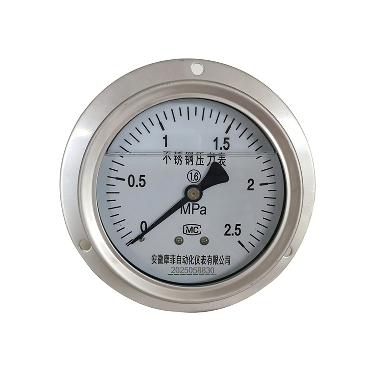 Y-100B-F卫生型隔膜压力表