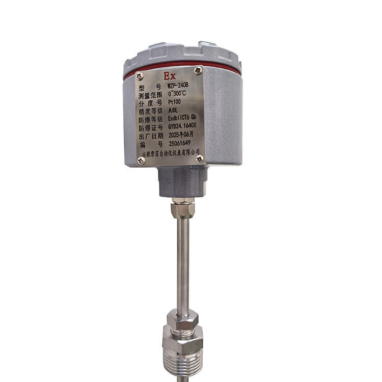 智能温度变送器LDBW-212/2