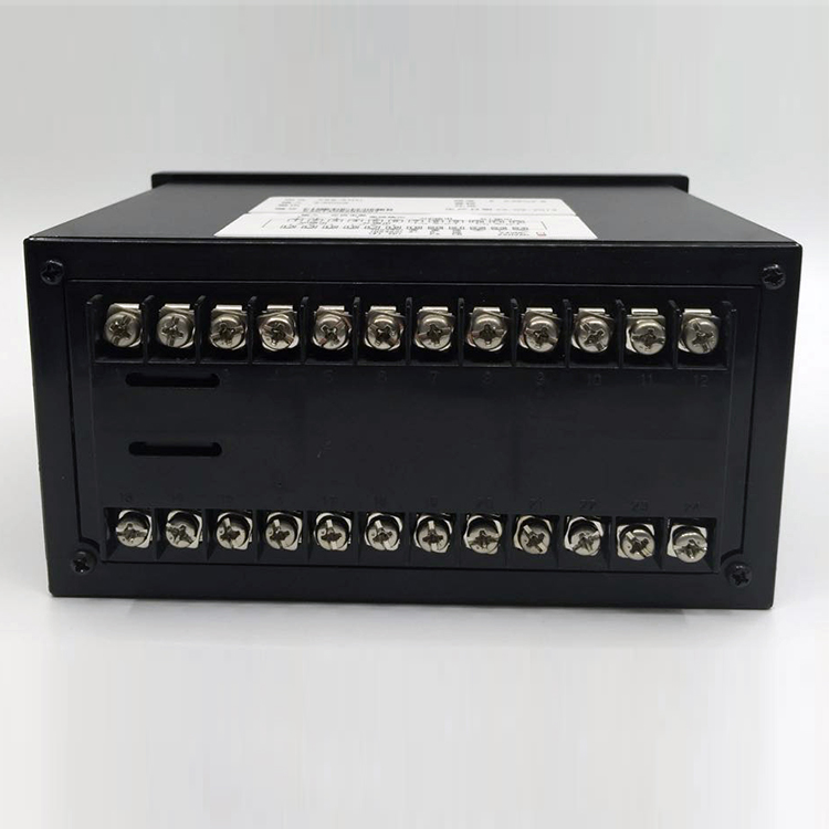 数字显示仪XSE-BIT2A1B1M2V0