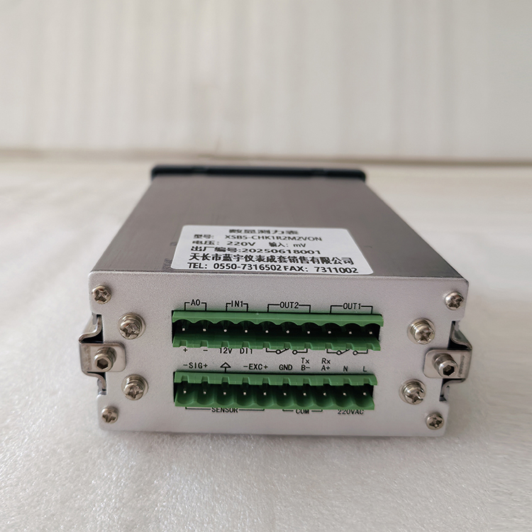 智能力值显示控制仪XSB5-AHK1R4A1V0