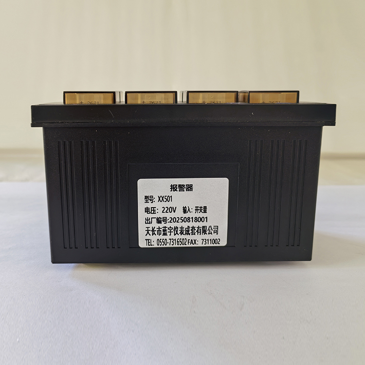 闪光信号报警器XXY-111