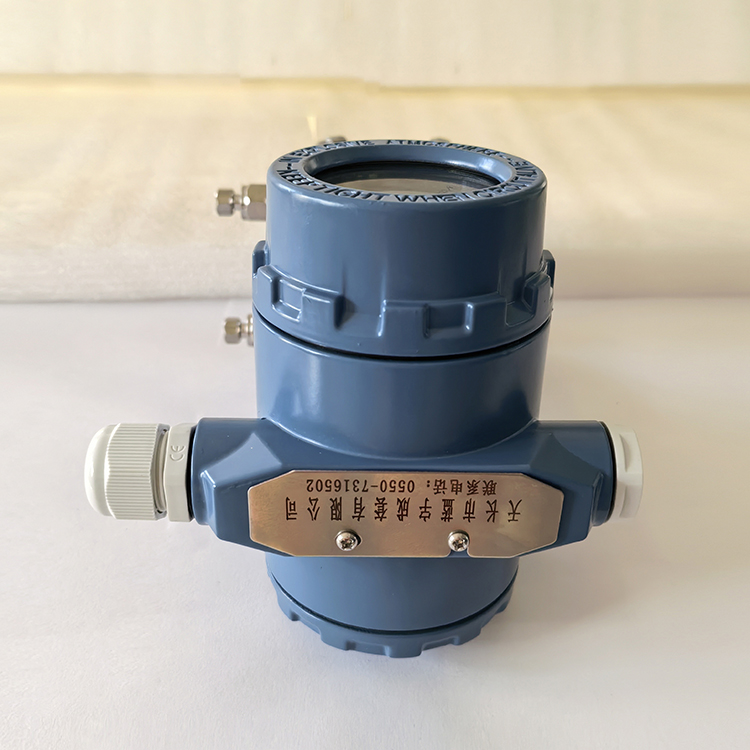 LD3351TG70M3B3/F22Hd静压式液位变送器